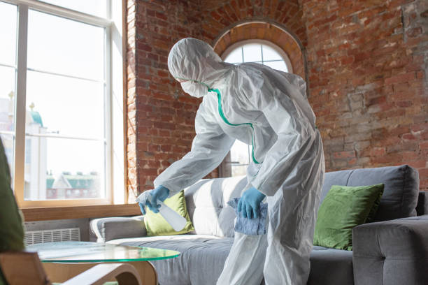 Why You Should Choose Our Mold Remediation Services in Fort Walton Beach, FL