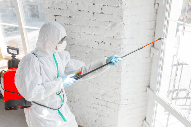 Forensic Mold Investigation in Fort Walton Beach, FL